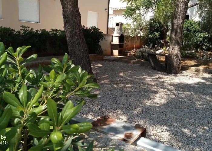 Nardi 维尔